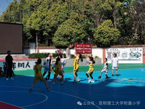 初中篮球战术一周训练计划_0